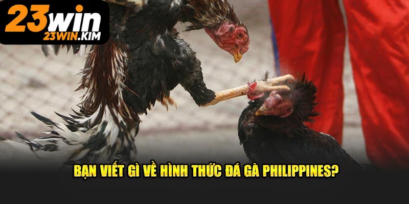 Giới thiệu đá gà Philippines