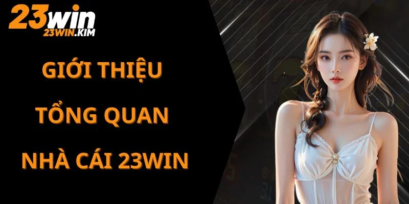 Giới thiệu tổng quan về nhà cái 23WIN