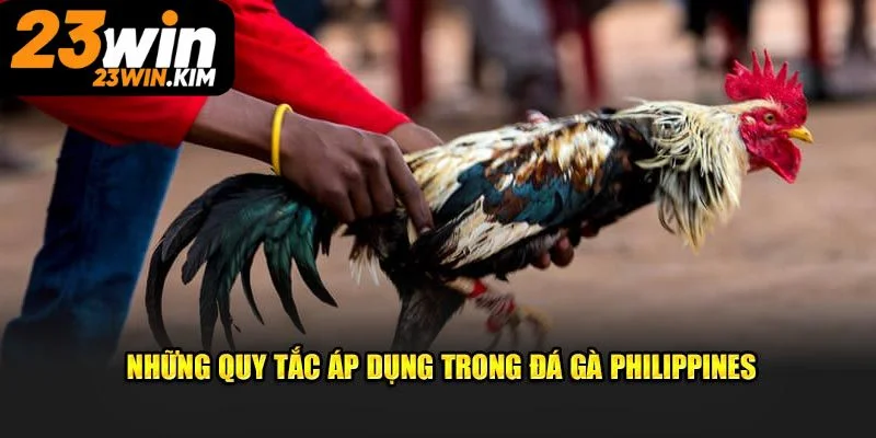 Luật chơi đá gà Philippines