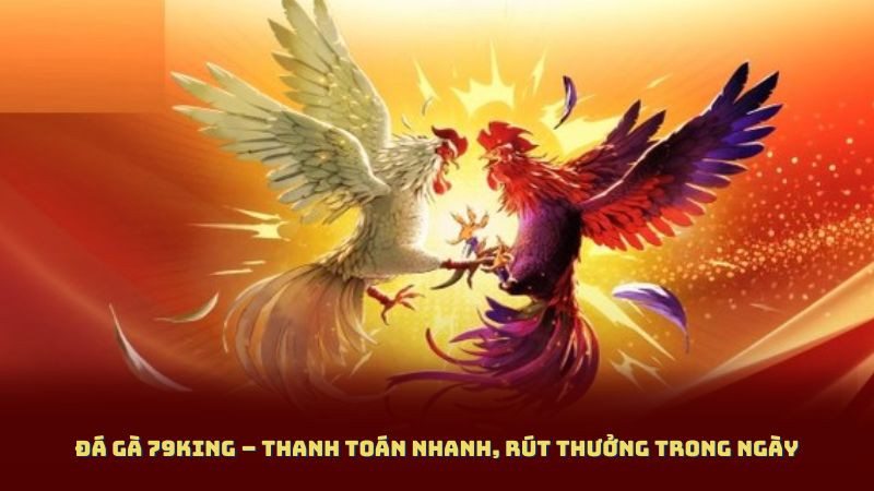 Đá Gà 79King – Thanh Toán Nhanh, Rút Thưởng Trong Ngày