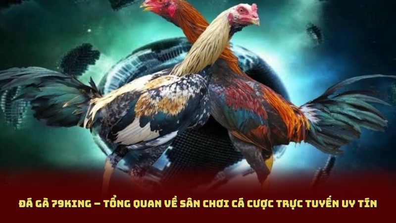 Đá Gà 79King – Tổng Quan Về Sân Chơi Cá Cược Trực Tuyến Uy Tín